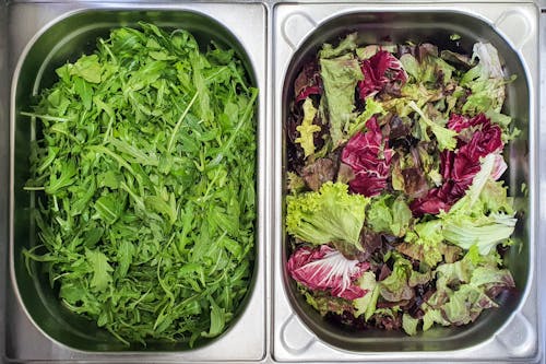 бесплатная смешанный салат и руккола, растительная пища Стоковое фото