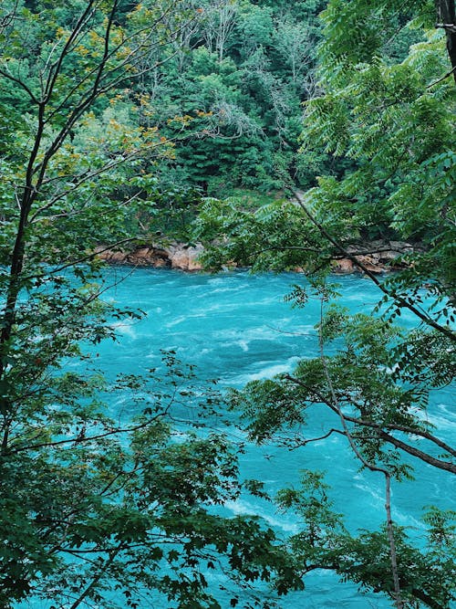 Fotos de stock gratuitas de agua Azul, arboles, atracción turística