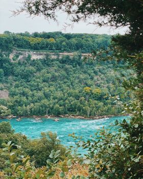 A lush green landscape view of Niagara River bordered by dense forest.