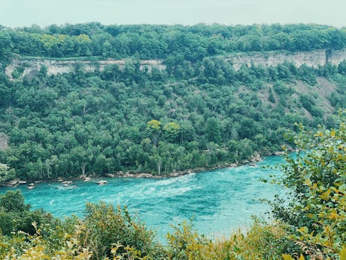 Free Niagara Glen Trail in Canada Stock Photo
