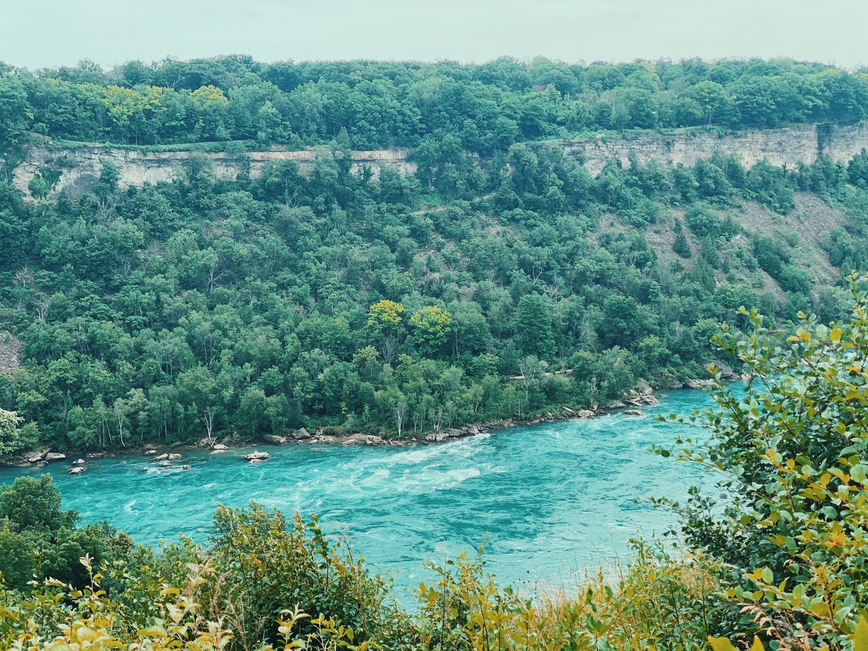 Niagara Glen Nature Reserve