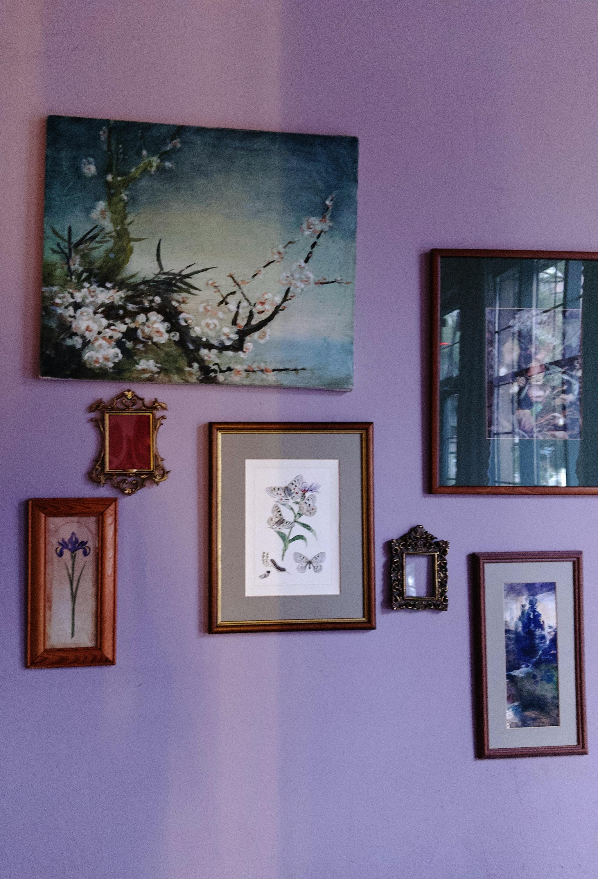 A diverse collection of framed art pieces on a purple wall, showcasing creativity.