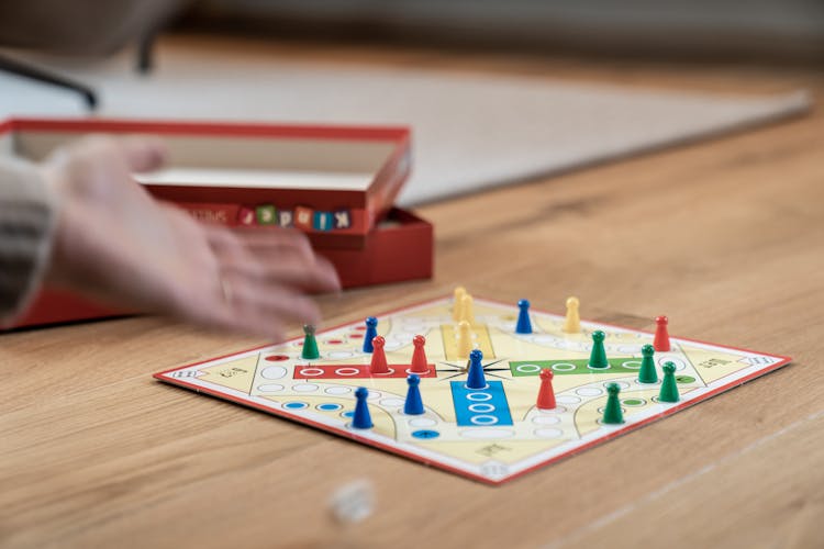 A Ludo Board Game