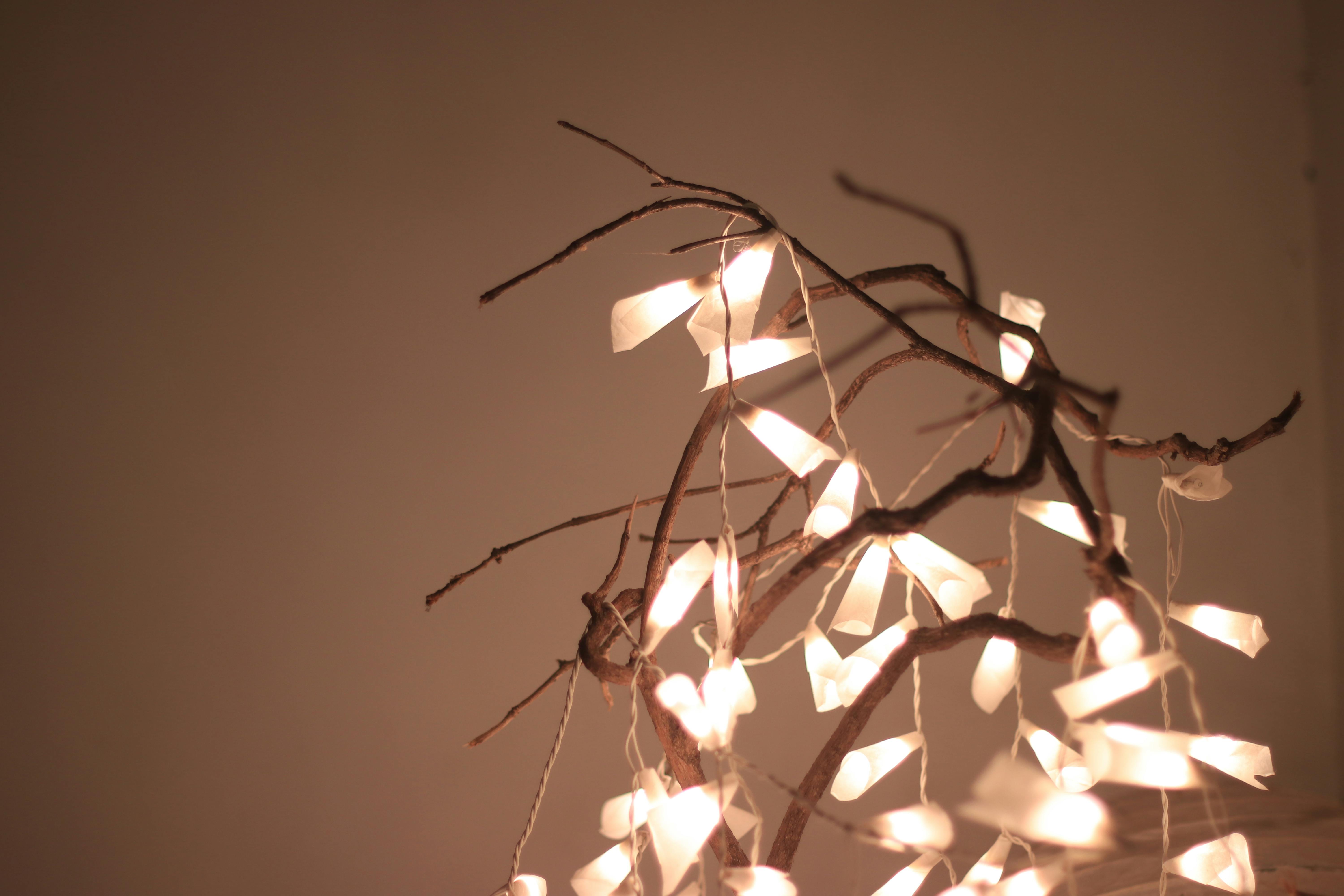 Free stock photo of flower lights, lights, tree decoration