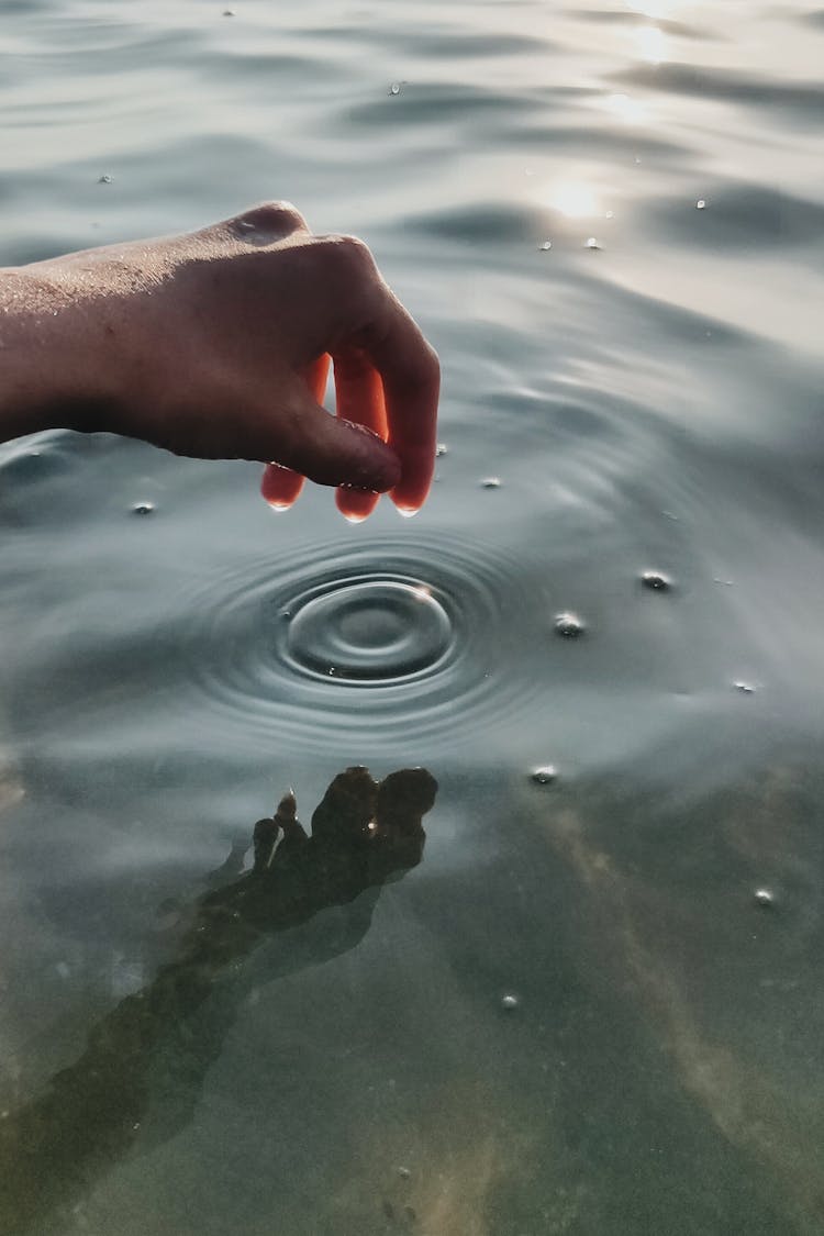 Hand Touching Surface Of The Water 