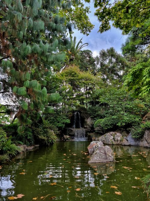 Free A tranquil pond surrounded by lush greenery and a cascading waterfall, creating a peaceful natural scene. Stock Photo