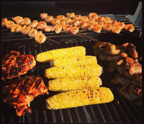 Free stock photo of grilling