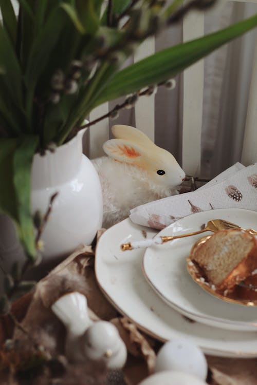 Základová fotografie zdarma na téma detail, jídlo, králíček