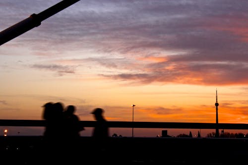 
A Silhouette of People Walking during the Golden Hour