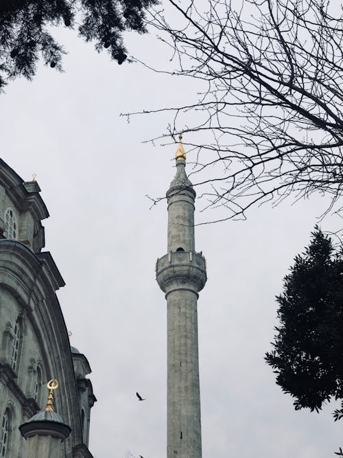 Fotobanka s bezplatnými fotkami na tému mešita, minaret, náboženstvo