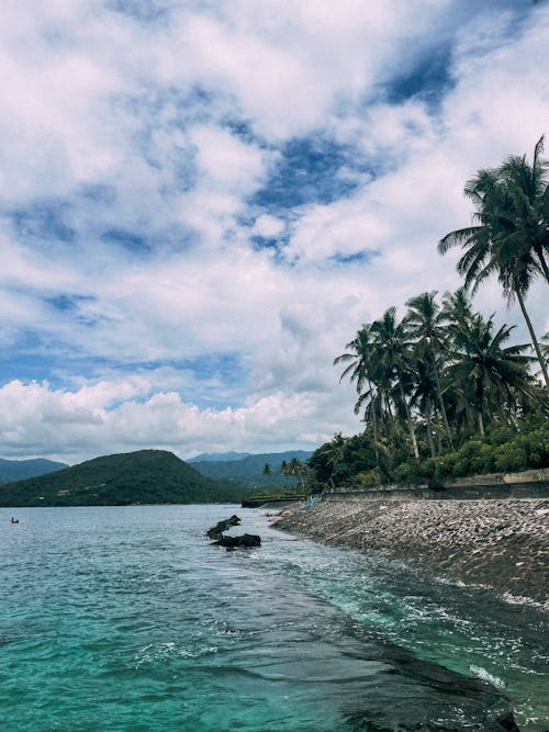 
A Shore under a Cloudy Sky