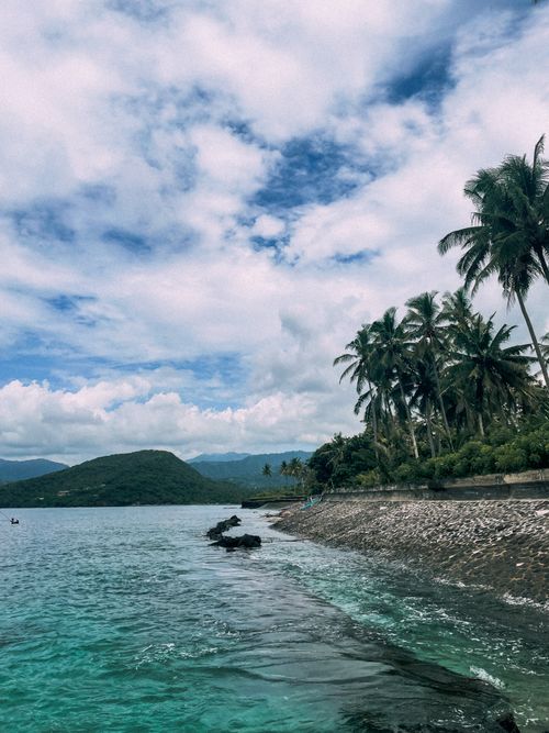 Free Scenic tropical coast with palm trees under a cloudy sky and turquoise water. Stock Photo