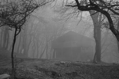
A Grayscale of a Cabin in the Woods
