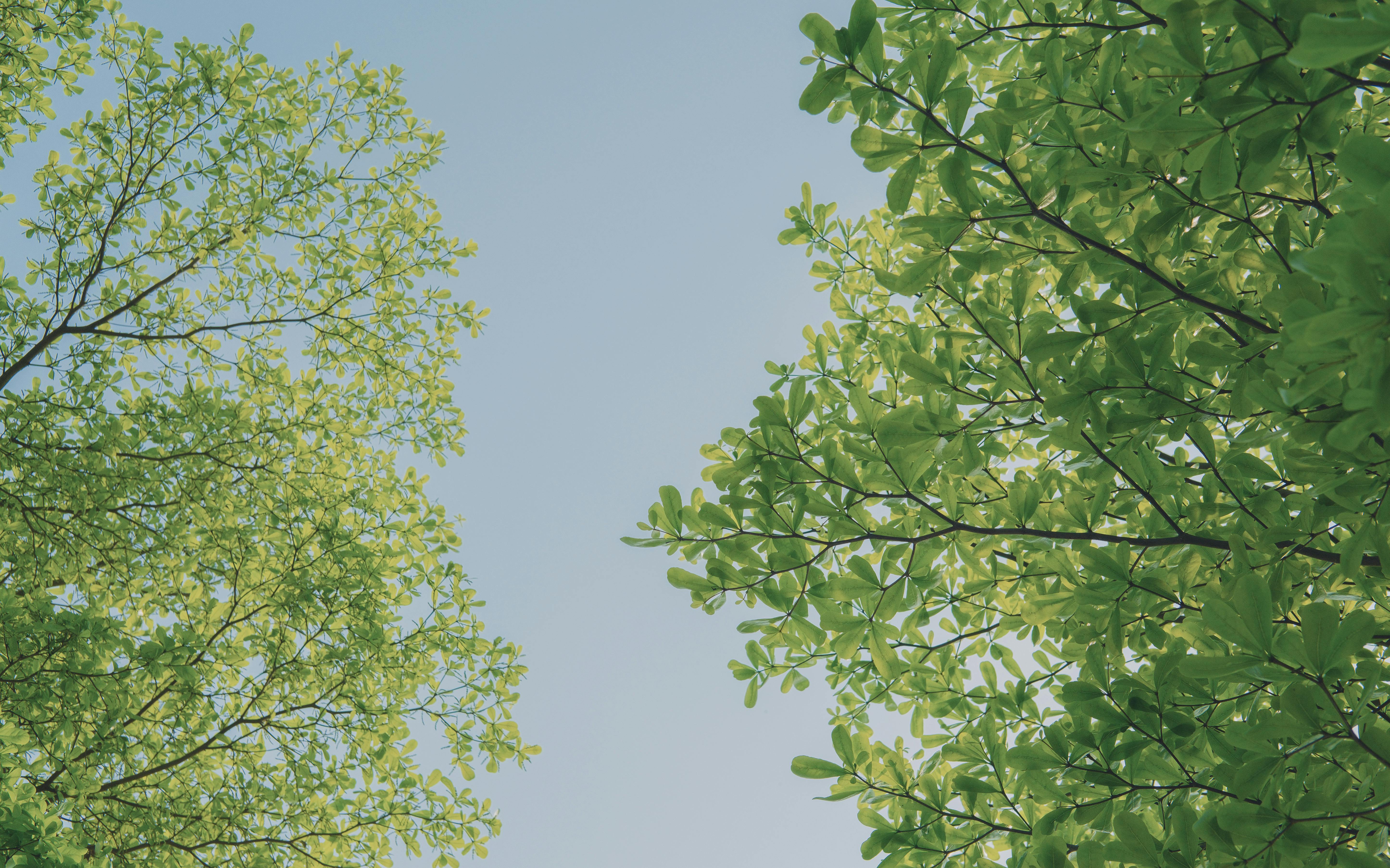 corporate governance esg — Photo by mitbg000 on Pexels