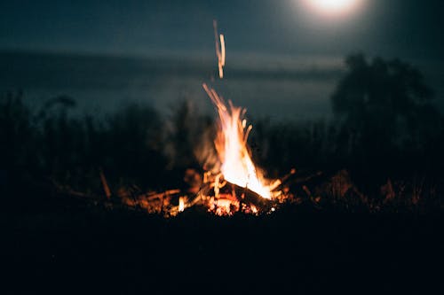 Free Bonfire at Night  Stock Photo