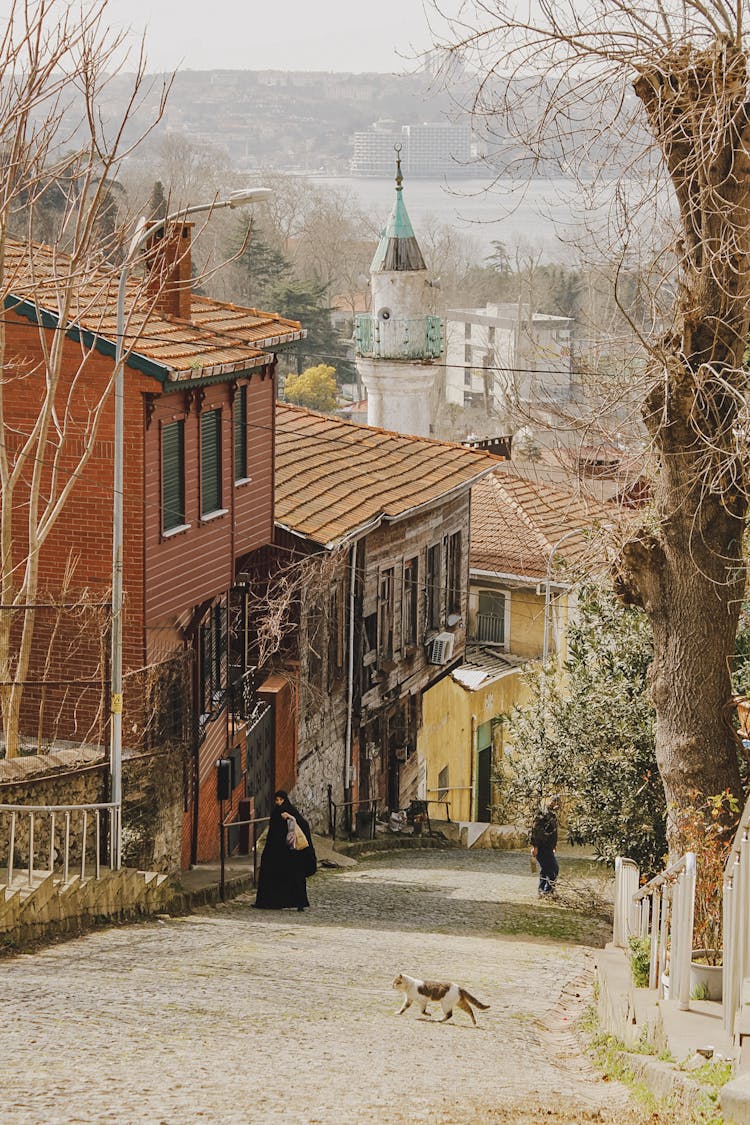 Inclined Cobblestone Street And Buildings In A Town 