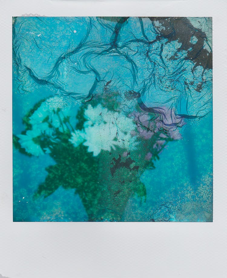 Polaroid Photo Of Flower Bouquet With Blue Filter