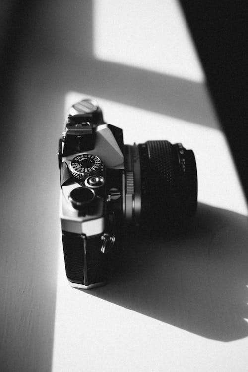 Free stock photo of olympus om1n