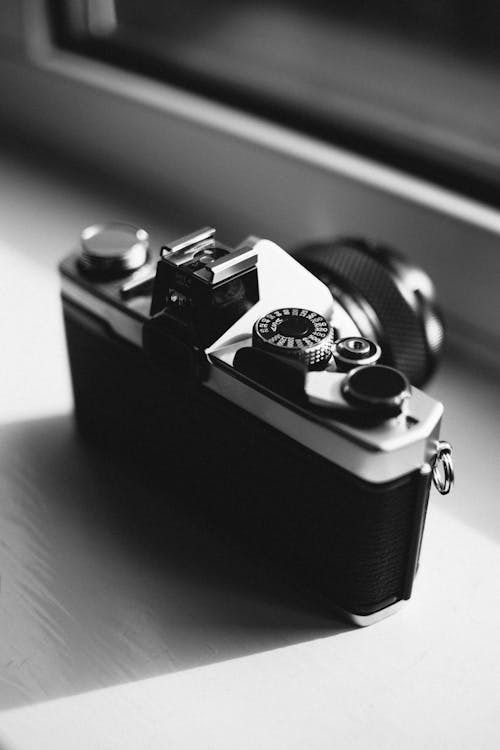 Free stock photo of olympus om1n