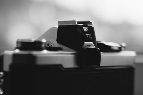 Free stock photo of olympus om1n