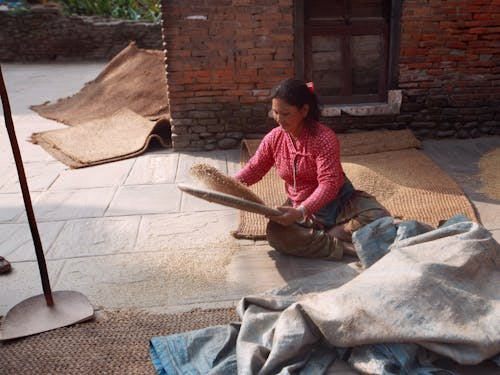 Woman Drying Grain 