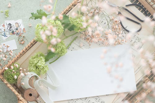 Blank Card and Flowers