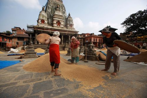 Free Local workers drying grain in front of temple in Bungamati, Nepal, showcasing cultural heritage. Stock Photo