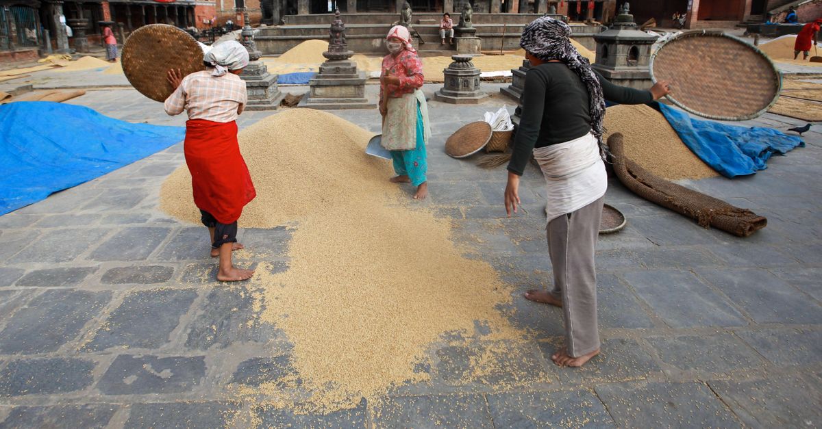 Street Laborers Women Working on Street · Free Stock Photo