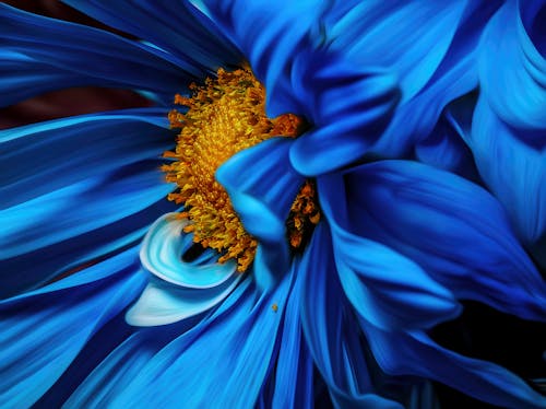 1000 Blaue Blume Fotos Pexels Kostenlose Stock Fotos
