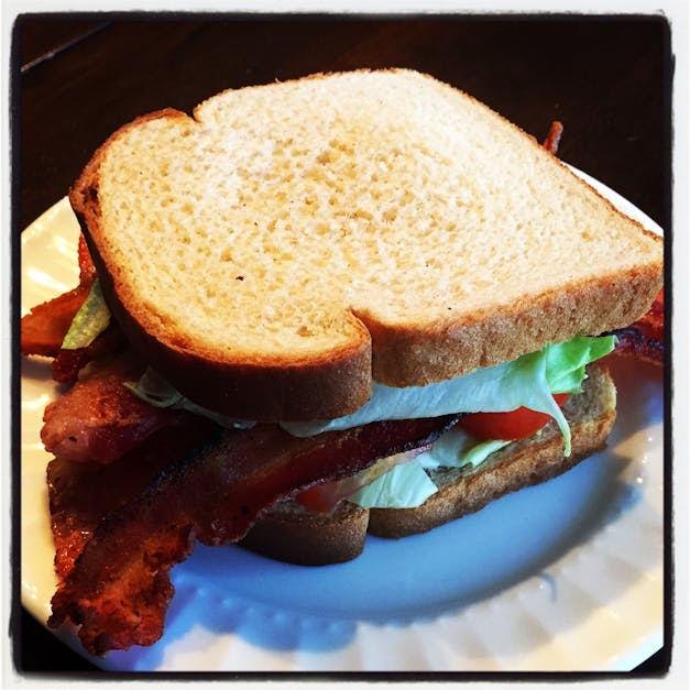 Free stock photo of bacon, sandwich