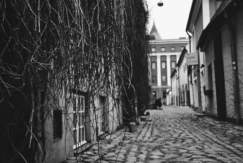Free stock photo of black and white, riga Stock Photo