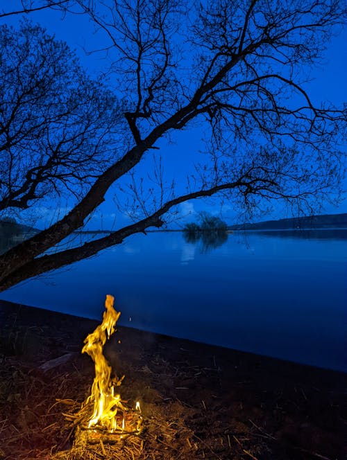 Free stock photo of camp fire, fireplace, outdoor adventure