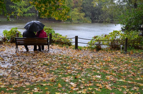 Kostenloses Stock Foto zu bank, fluss, herbst