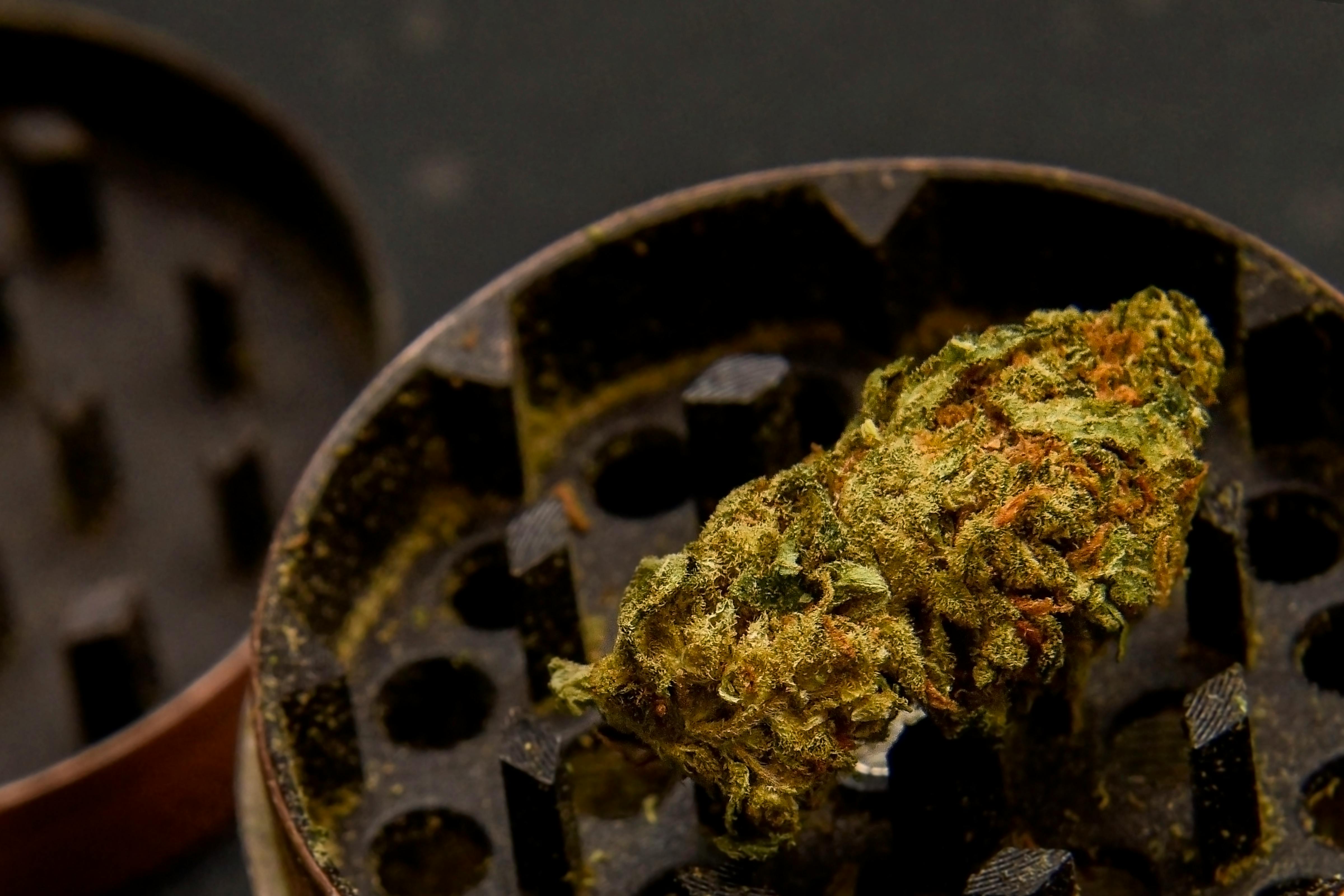 cannabis, hemp oil, cannabis benefits — Photo by adrian vieriu on Pexels