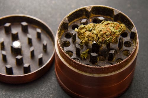 Free A Cannabis Bud in a Grinder Stock Photo