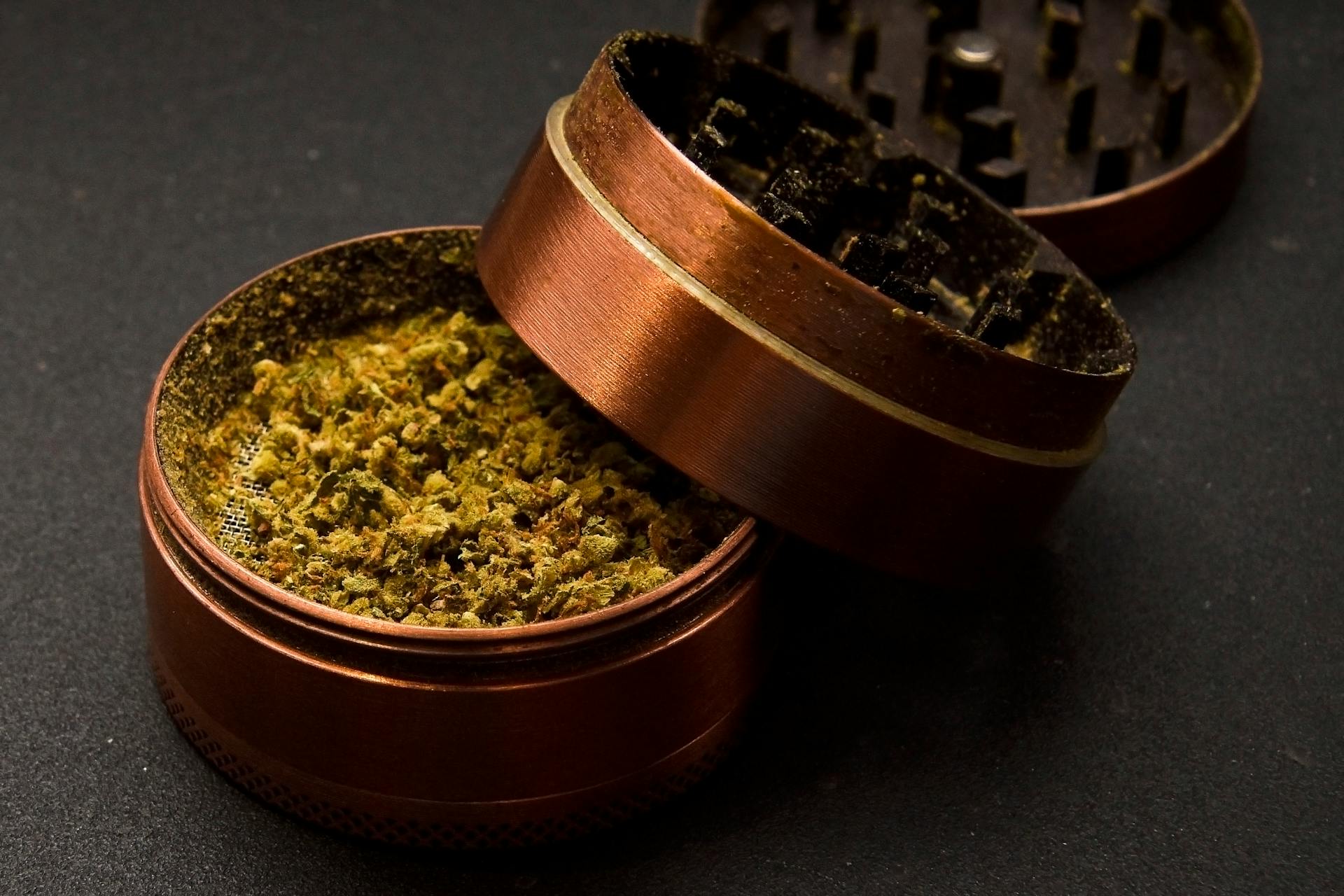 Grinder with cannabis , Marijuana buds