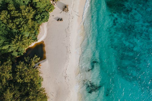 Gratis stockfoto met bomen, dronefoto, golven