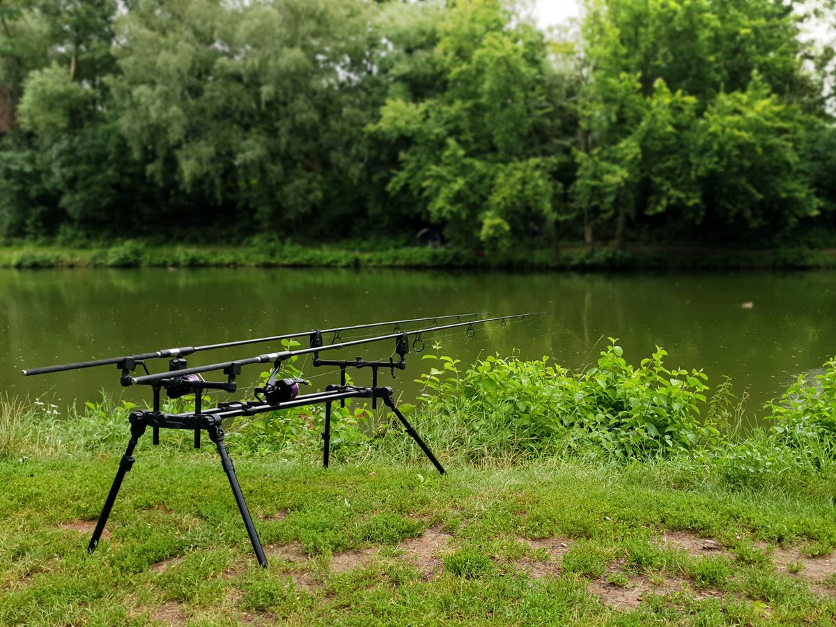 Fishing rods resting by a peaceful river with lush greenery