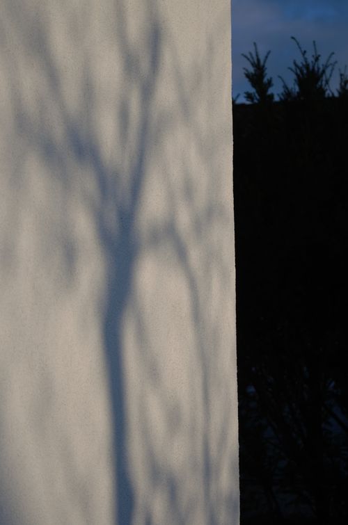 Free stock photo of light, sunshade Stock Photo