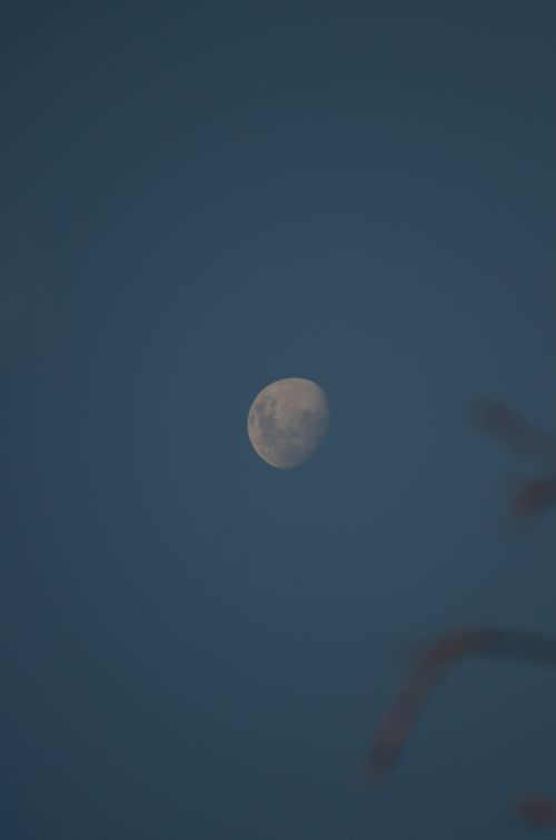Free A serene evening view featuring the moon surrounded by a clear sky, captured at night. Stock Photo