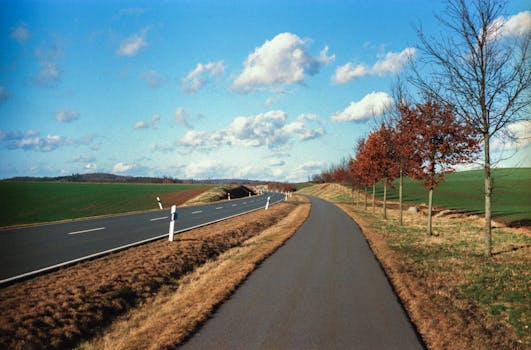 Immagine gratuita di alberi, ambiente, area rurale