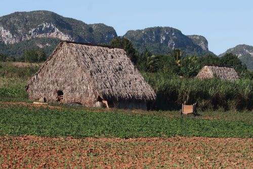 Free Scenic view of farmland with rustic thatched huts against a mountain backdrop. Stock Photo