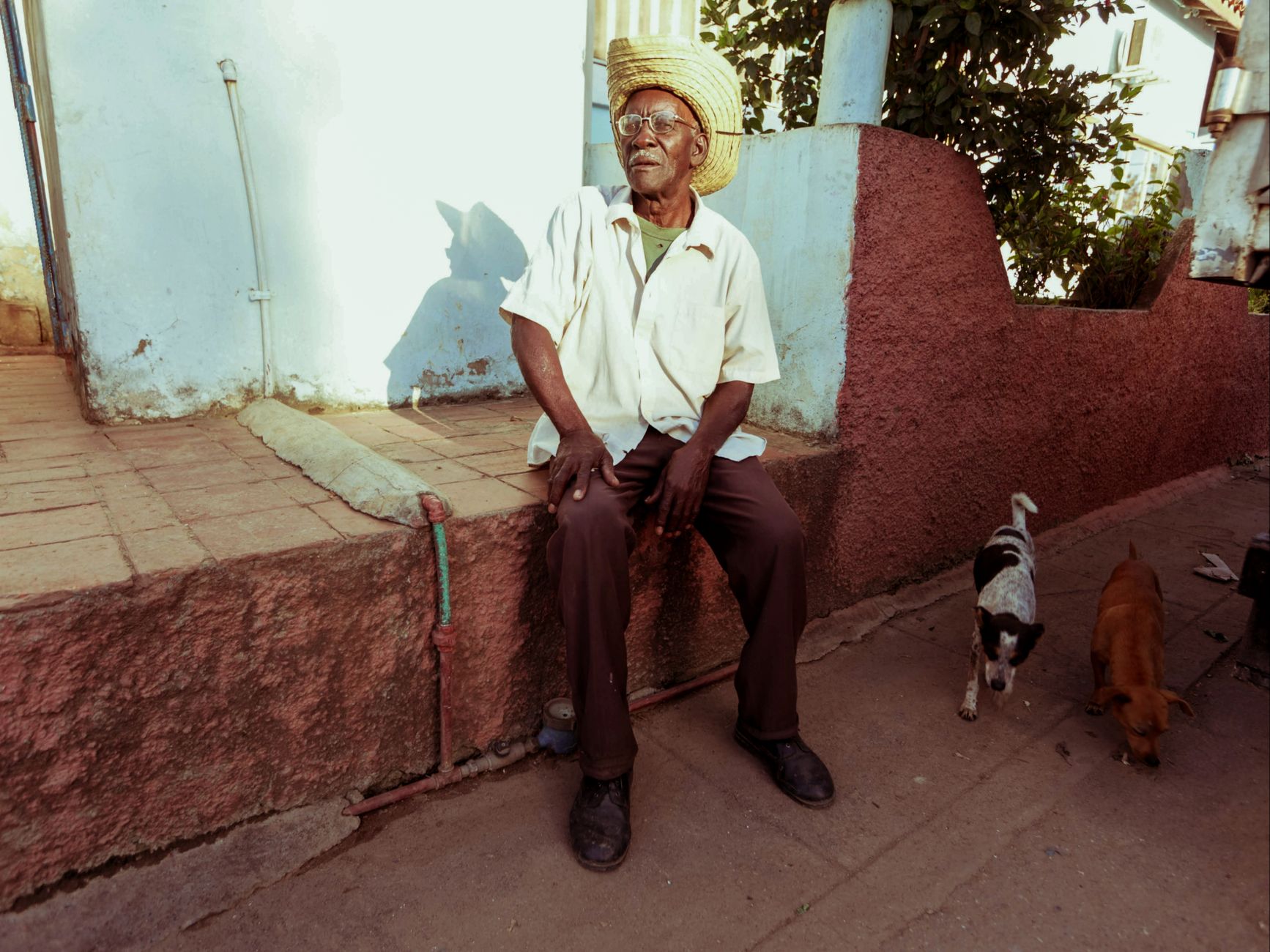 Dying Man's Heartbreaking Goodbye to Dogs Arong and Asoon