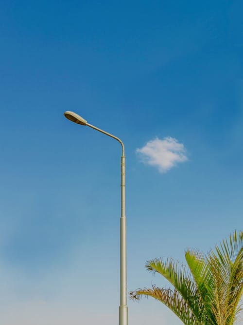 Free A Clear Blue Sky behind a Street Light  Stock Photo