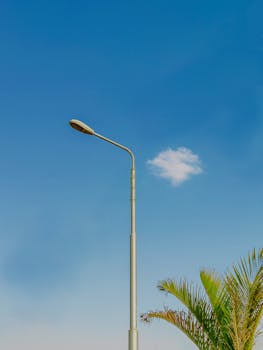 Streetlight and palm in Cairo under clear blue sky, perfect for serene backgrounds.