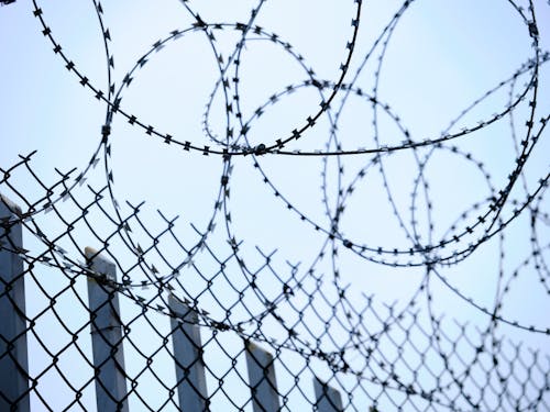 Free Chain Link Fence and Barbed Wires Stock Photo