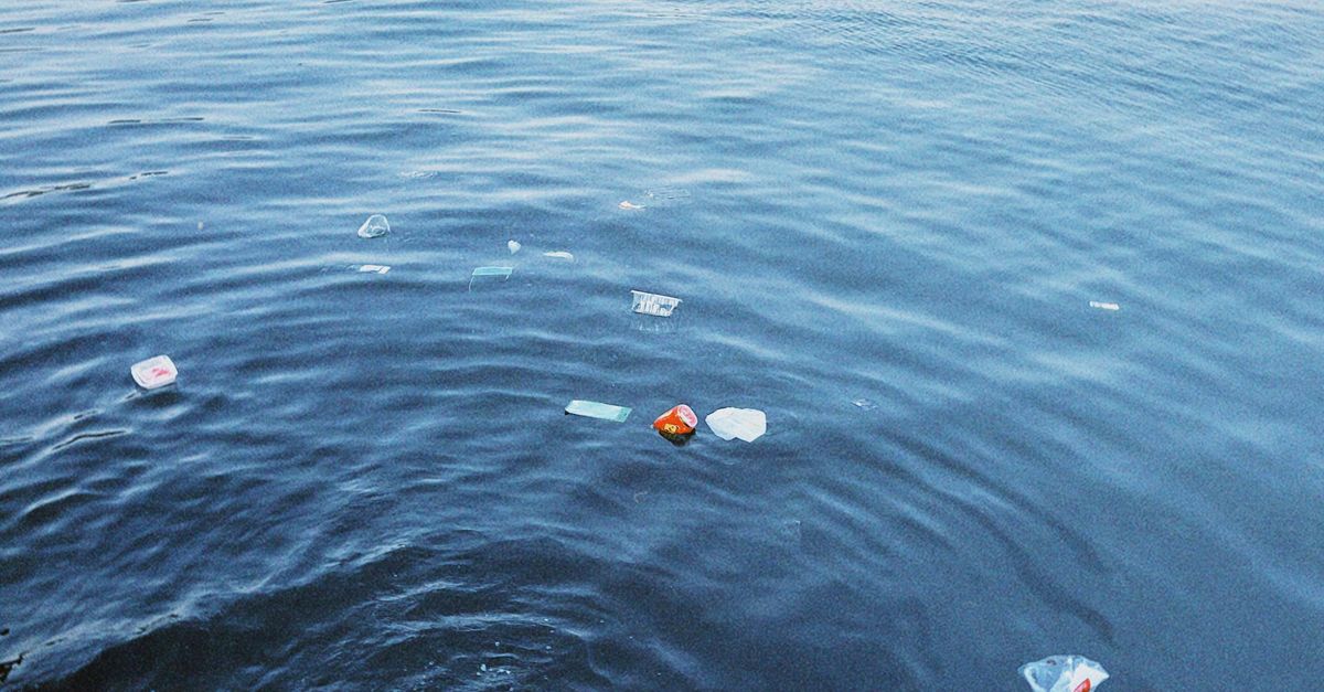Los 12 casos más impactantes de contaminación de agua y su impacto ambiental Los 12 casos más impactantes de contaminación de agua y su impacto ambiental