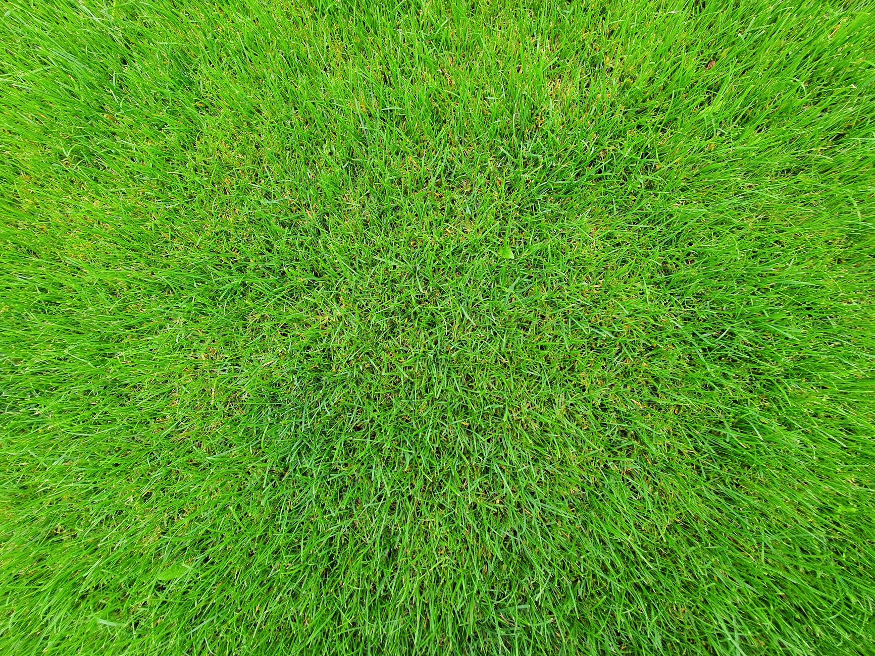 Lawn edging yuba city in Yuba City in Yuba City