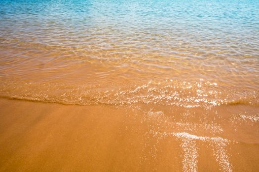 Tranquil beach with golden sand and gentle waves under bright sunlight.
