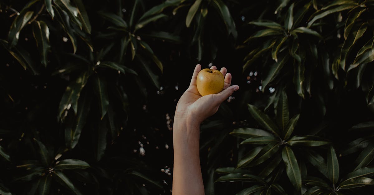 Does apple cider vinegar cause your poop to be green